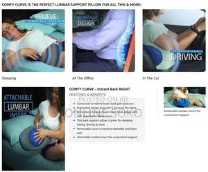 Multipurpose Comfy Curve Instant Relief Back Support Pillow