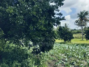 7.5 Acre Established Farm On Sale!