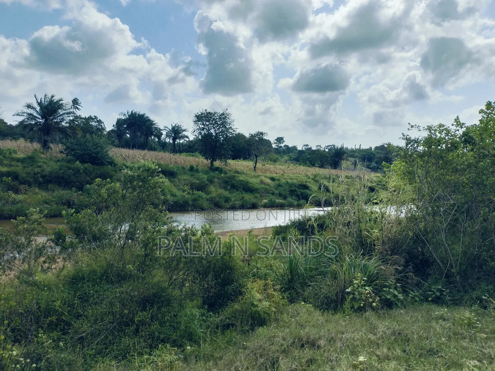 7.5 Acre Established Farm On Sale!