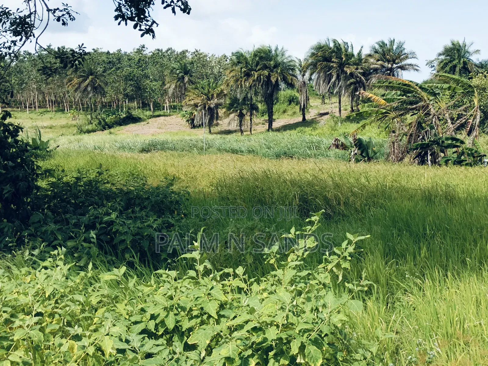 7.5 Acre Established Farm On Sale!