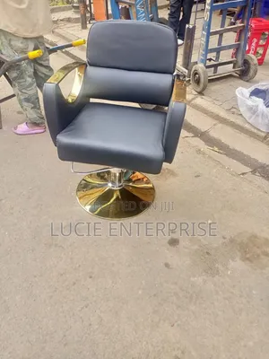 Salon Styling Chair/ Gold Styling Chair