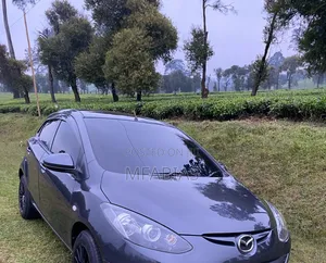 Vip Llumar Tint