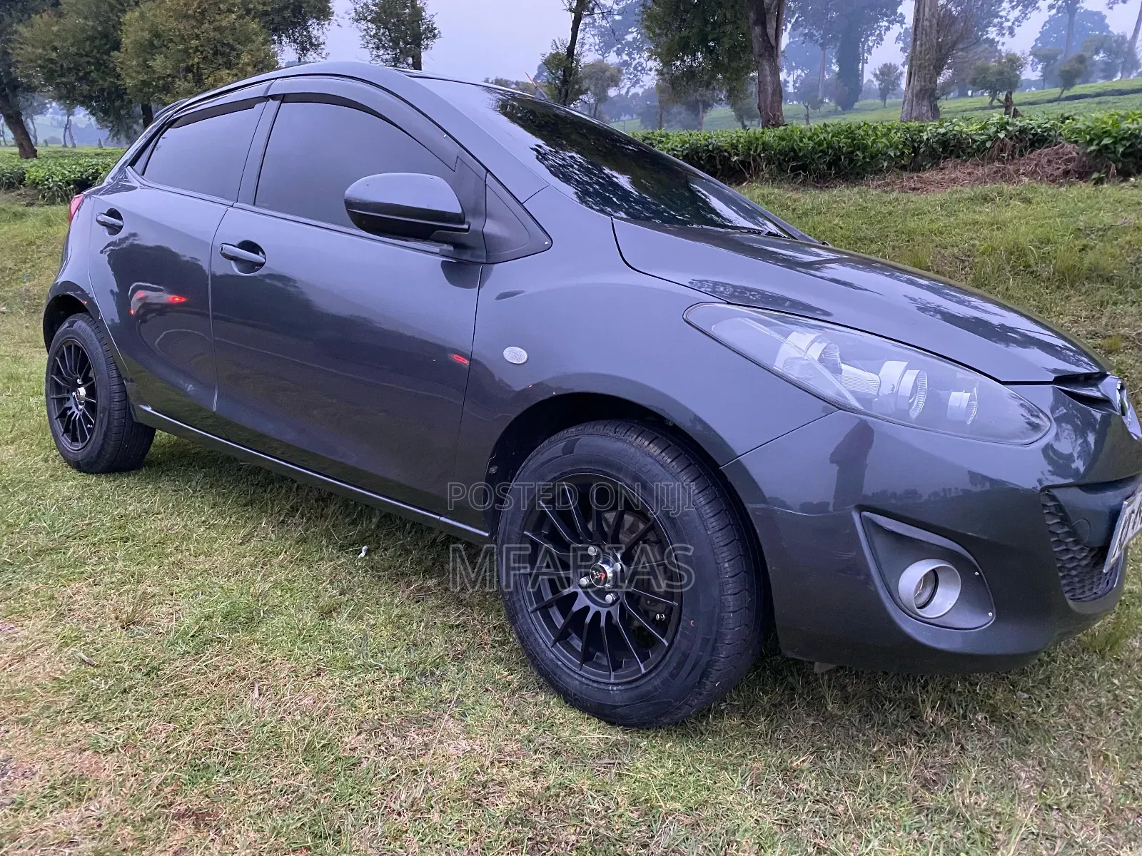 Vip Llumar Tint