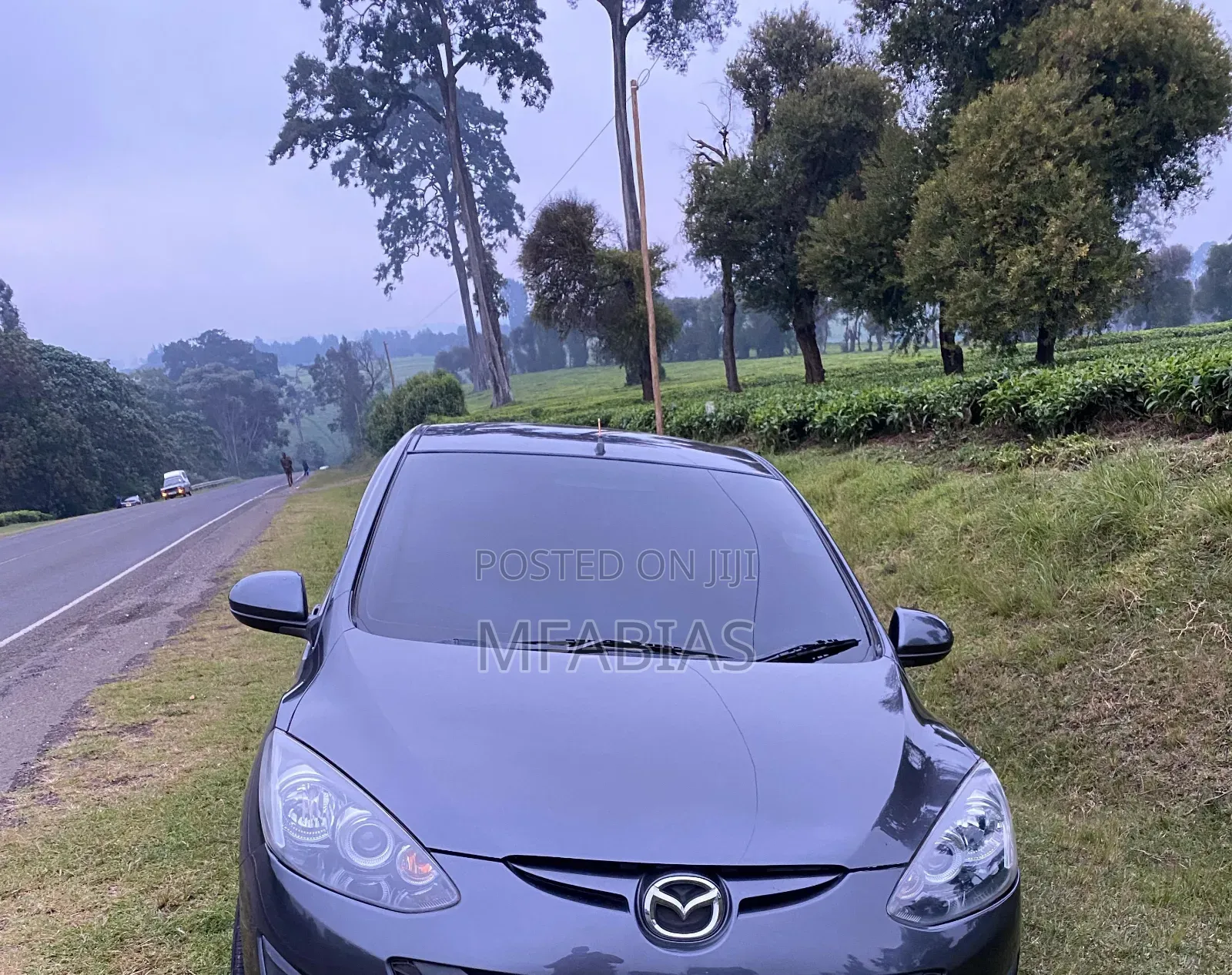 Vip Llumar Tint