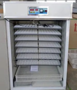 Automatic Incubator, 528 Eggs Capacity