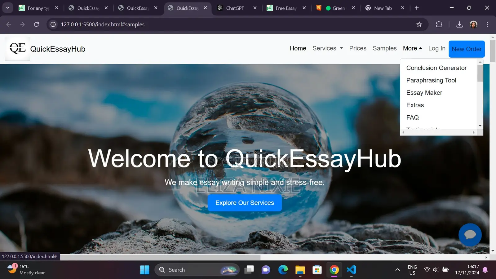 Web Developer Academic Writer
