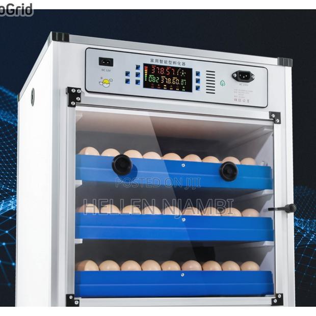 204 Eggs Large Capacity Incubator (Ac/Dc)