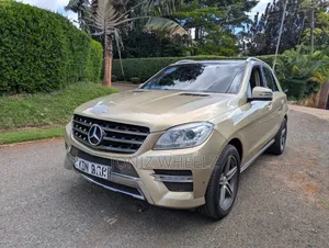 Mercedes-Benz M Class 2013 Gold