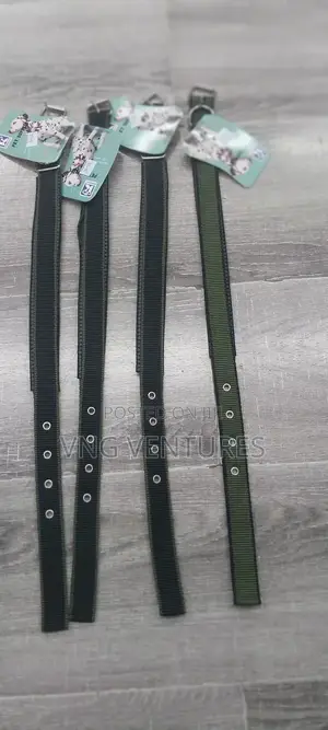 Dog Neck Collar