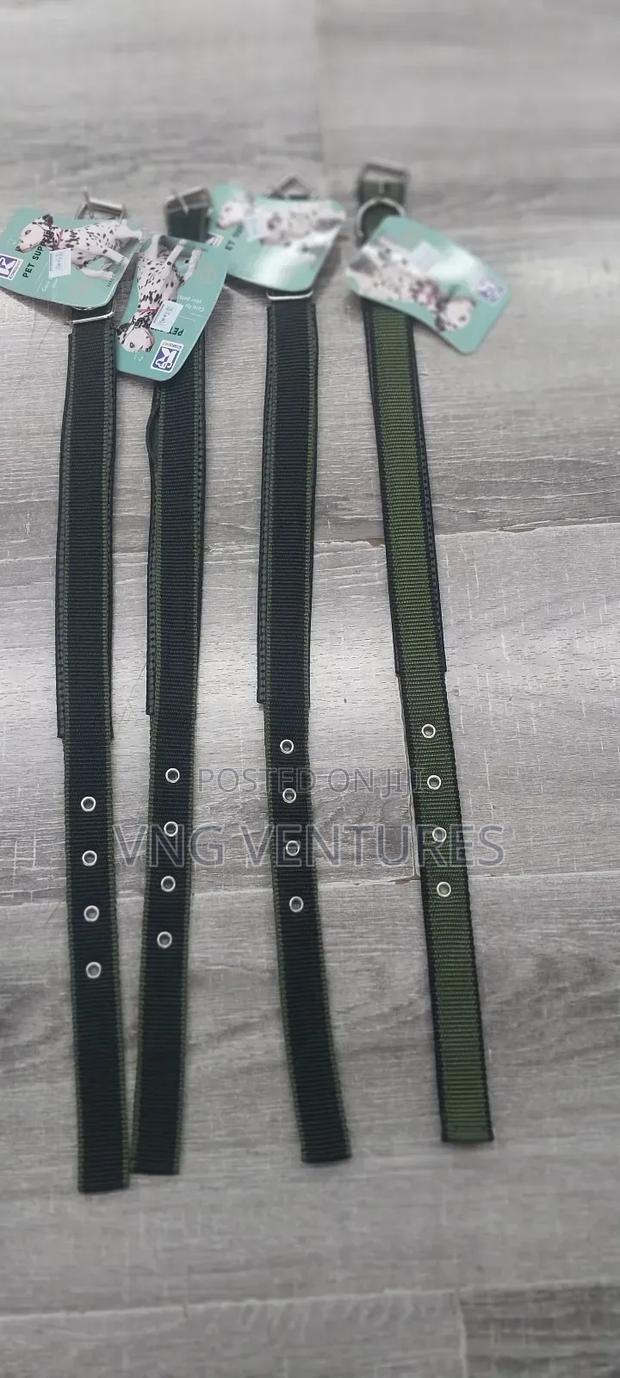 Dog Neck Collar