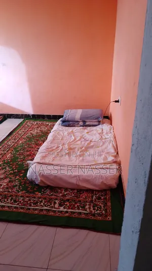 1bdrm Bedsitter in Shelly for rent