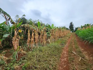 Kiangwaci 1.5 Acres