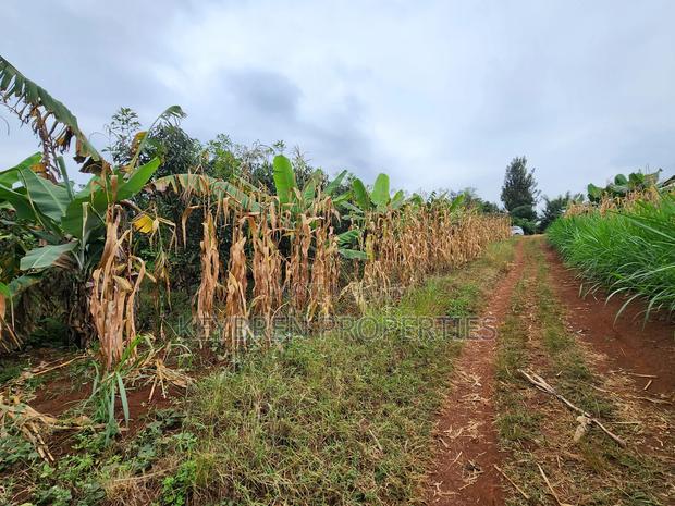 Kiangwaci 1.5 Acres - thumbnail 3