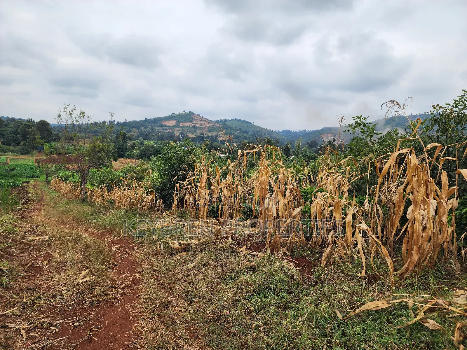 Kiangwaci 1.5 Acres