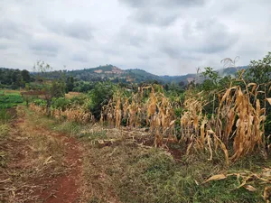 Kiangwaci 1.5 Acres