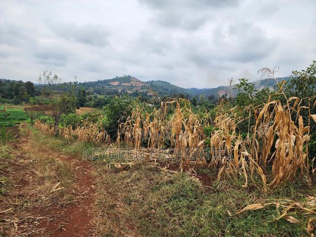 Kiangwaci 1.5 Acres - thumbnail 4