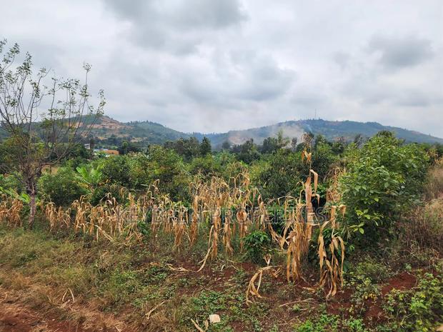 Kiangwaci 1.5 Acres - thumbnail 6