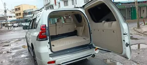 Toyota Land Cruiser Prado 2019 Pearl