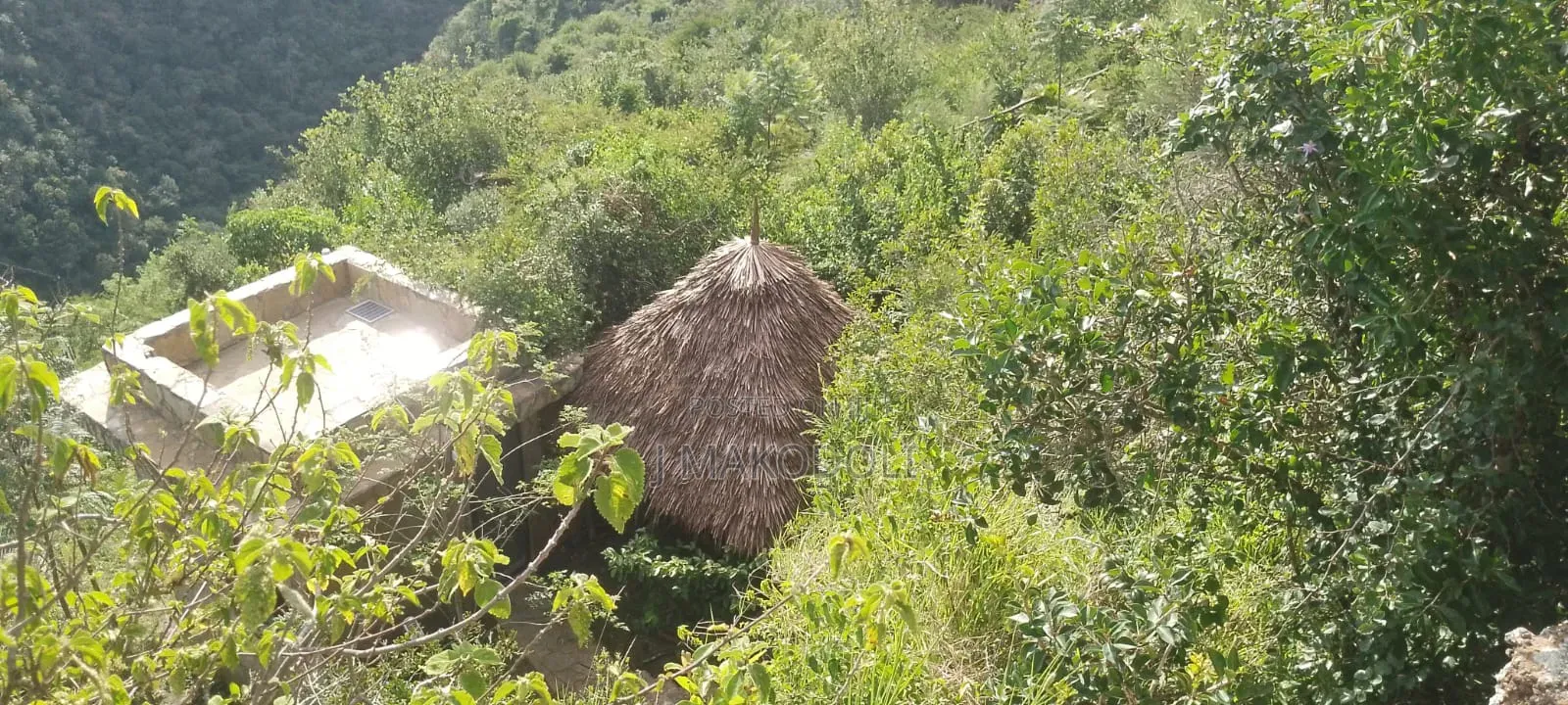 Makuti Roof Installation,Repair and Maintanace