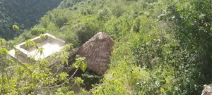 Makuti Roof Installation,Repair and Maintanace