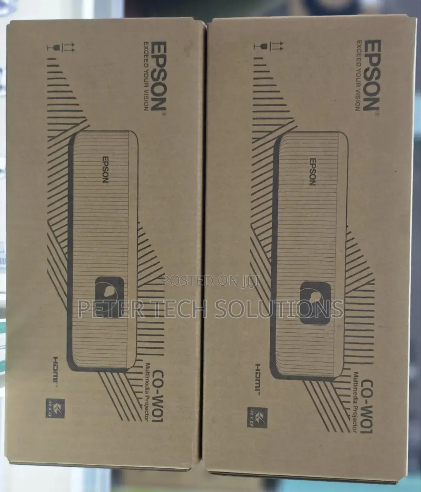Epson Projector Co-W01 Available