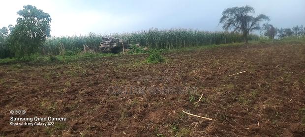 4acre for Sale Kiminini Per Acre 3.5m Direct Transfer Title - thumbnail 3