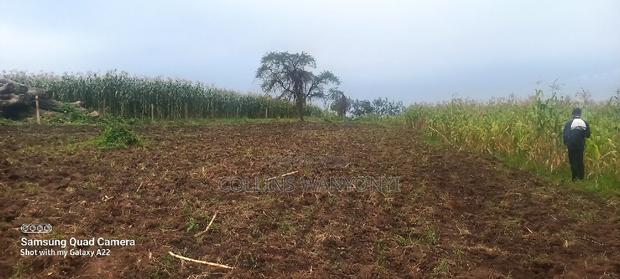 4acre for Sale Kiminini Per Acre 3.5m Direct Transfer Title - thumbnail 4