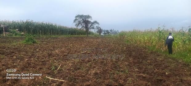 4acre for Sale Kiminini Per Acre 3.5m Direct Transfer Title - thumbnail 5