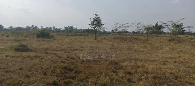 Residential Plots - thumbnail 4