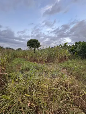 33*100 Land for Sale in Anmer Estate Near Tatu City