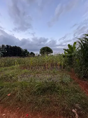 33*100 Land for Sale in Anmer Estate Near Tatu City