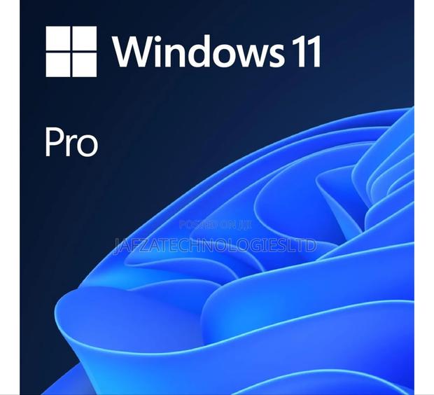 Windows 11 Pro - main view