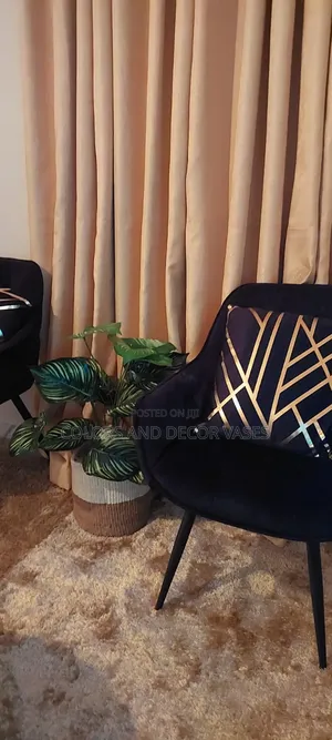 Long Lasting Plant With Basket Decor