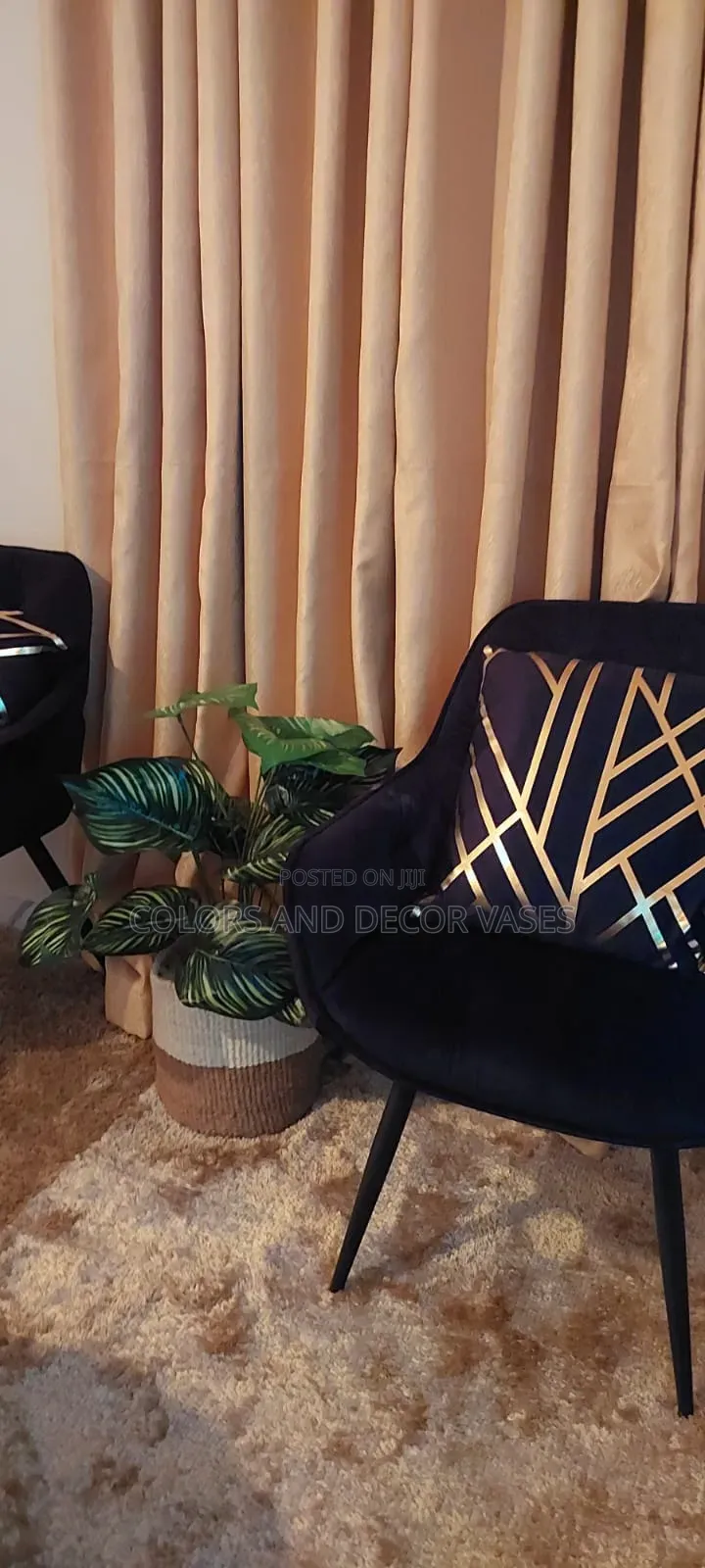 Long Lasting Plant With Basket Decor