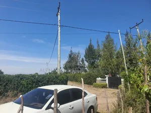 100/100 Plots Nanyuki