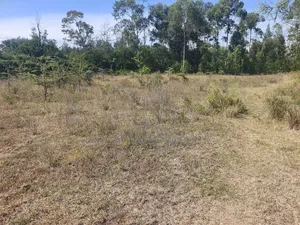 100/100 Plots Nanyuki