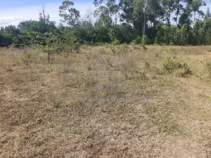 100/100 Plots Nanyuki