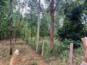 3 Acres on Tarmac,In Makuyu.