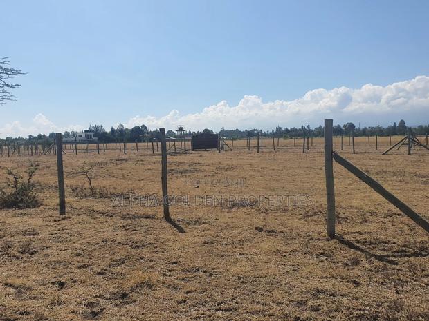 Nanyuki Plots Opposite Lifestyle Villas - thumbnail 4