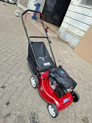 Gasoline Lawn Mower