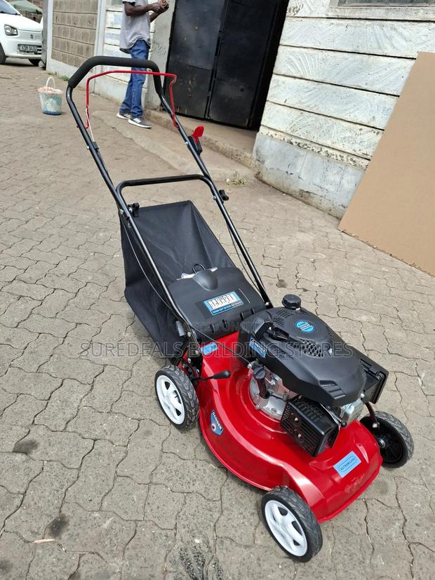Gasoline Lawn Mower - thumbnail 2