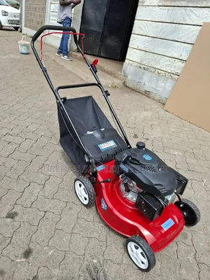 Gasoline Lawn Mower