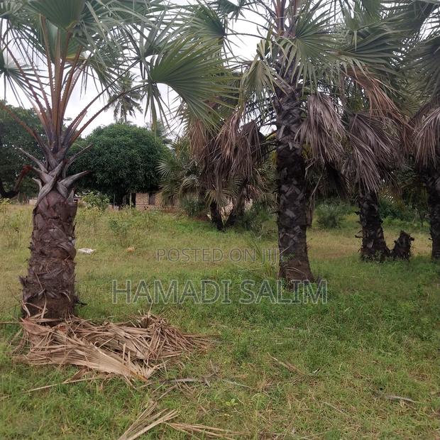 A 3 Bedroom House on 1⁄4 an Acre for Sale in Tiwi. - thumbnail 5