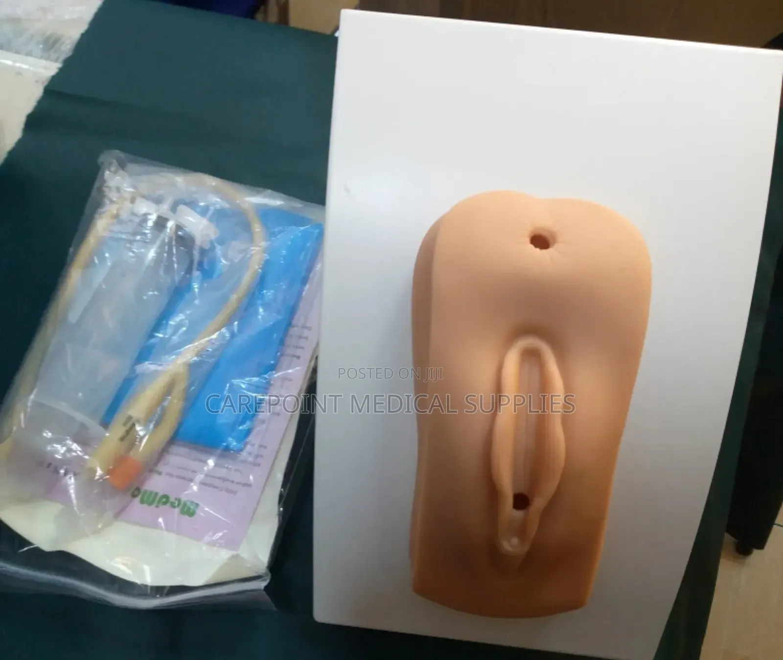 Female Catheterization Model