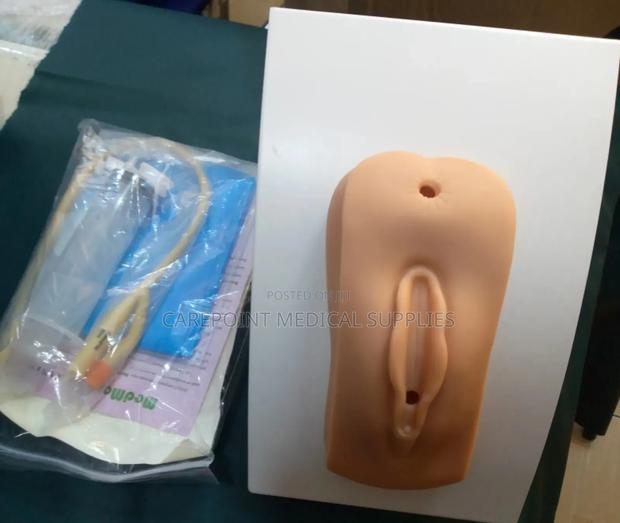 Female Catheterization Model