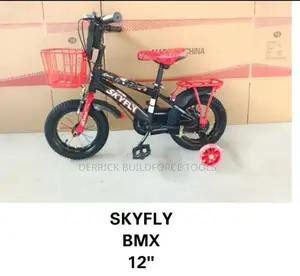 Skyfly BMX 12" Bicycle