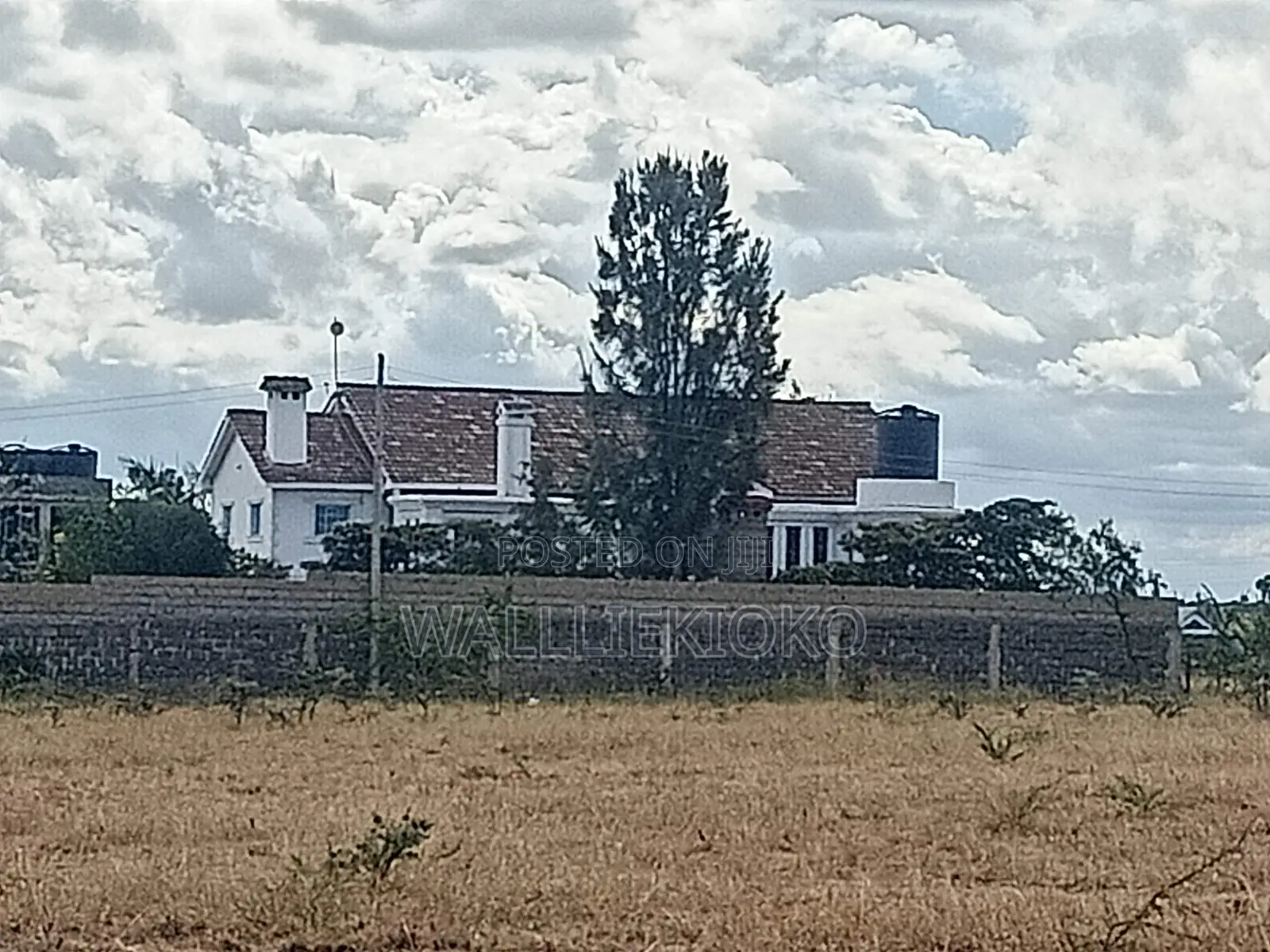 2 Plots of 50 X 100 for Sale