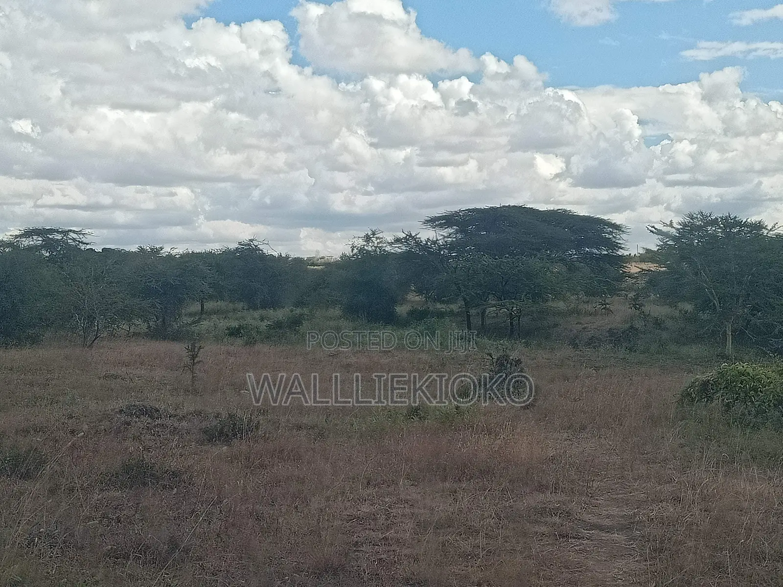 2 Plots of 50 X 100 for Sale