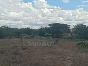 2 Plots of 50 X 100 for Sale