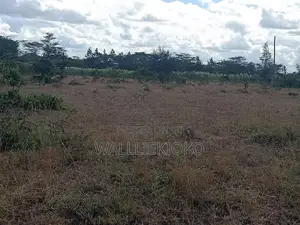 2 Plots of 50 X 100 for Sale